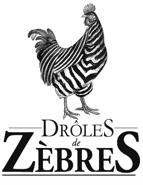 Logo DROLE DE ZEBRE